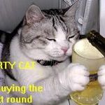 party_cat.jpg