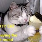 party_cat.jpg