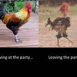 party_cock.jpg