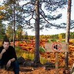 pate_mustajarvi_mute_pastajarvi2.jpg