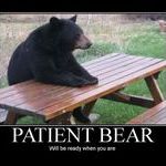 patient_bear.jpg