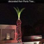 penistree.jpg