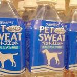 pet_sweat.jpg