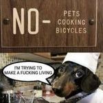 pets_cooking_bicycles.jpg