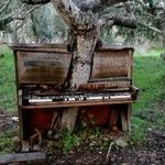 piano_tree.jpg