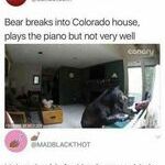pianobear.jpg