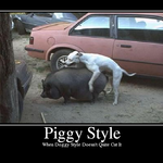 piggy_style_dog.png