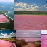 pink_lake.jpg