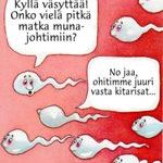 pitka_matka.jpg