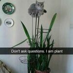 plant09.jpg
