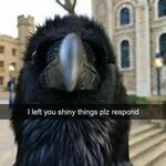 plz_now.jpg