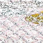 plöttssh.gif