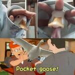 pocketgoose.jpg