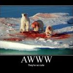 polarbears.jpg
