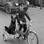 police_and_his_dog.jpg