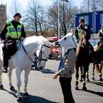 police_horse.jpg