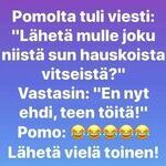 pomolta_viesti.jpg
