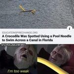 pool_noodle.jpg