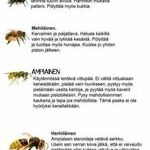 porriaiset.jpg