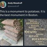 potato5.jpg