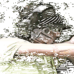 potkasss.gif