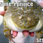 prince_frog.jpg