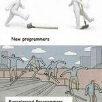 programmers3.jpg