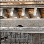 pujottelut2.gif