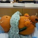 pumpkin_birth.jpg