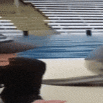 pusuja3.gif