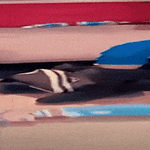 pysahtyhan_se.gif