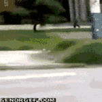 pysähdy_lain_nimessä.gif