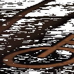 pyöräilemässä.gif