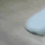 päivälenkki2.gif
