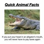 quick_animal_fact.jpg