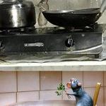 ratatouille.jpg
