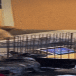 ratkaisu_syodessa.gif