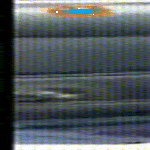 ratti_tippu.gif