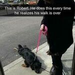 robert2.jpg
