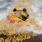 rubber_duck_rafting.jpg