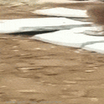 rullaa_vielä_vähän.gif