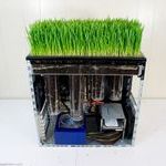 runs_linux_grows_wheatgrass.jpg