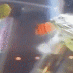 saalistaja_2.gif