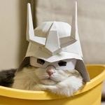 samurai_cat2.jpg