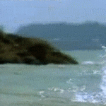 sapuskat_kantoo.gif