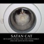 satan_cat.jpg