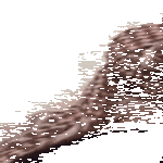 savut.gif