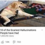 scariesthallucinations.jpg