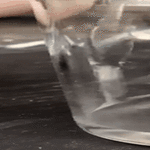science3.gif
