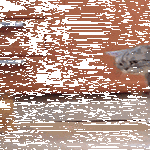 se_hyökkää_apua.gif